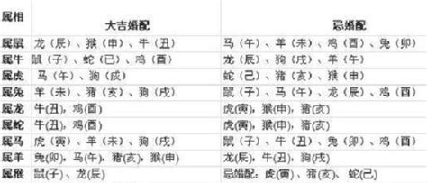 1997年属相|1997年属牛的最佳配偶 97年属牛的和什么属相最配